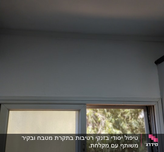 קיר צבוע בלבן ליד חלון זכוכית